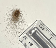Biodegradable Plastic free copper ultra fine glitter small amount next to ruler