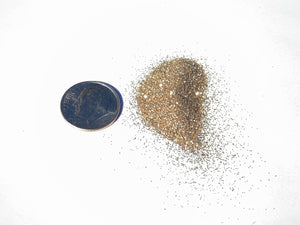 Lustrous Gold Biodegradable Glitter Size Comparison to dime